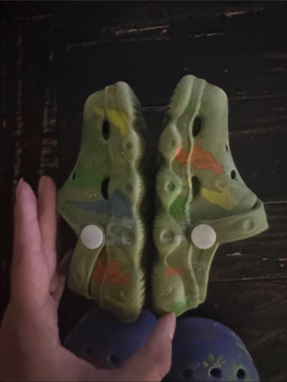Kids' Dinosaur Clog Shoes - Green and Blue